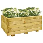 Tekli Saksı 100x50x50cm